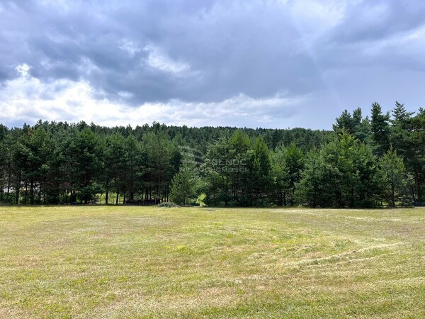 Działka 4902 m2 w PILICA