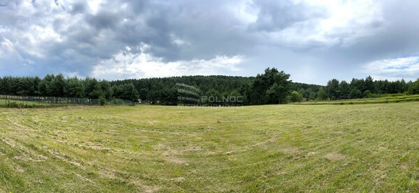 Działka 4902 m2 w PILICA