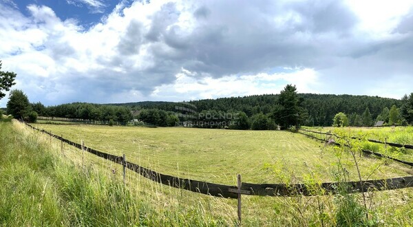 Działka 4902 m2 w PILICA