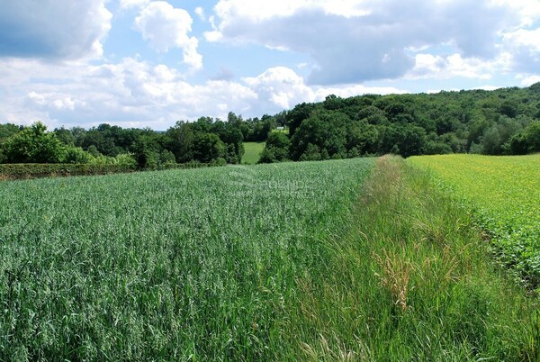 Działka 1044 m2 w GNOJNIK