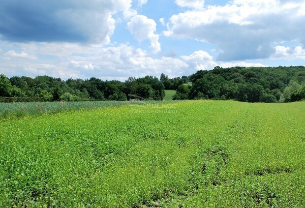 Działka 1044 m2 w GNOJNIK