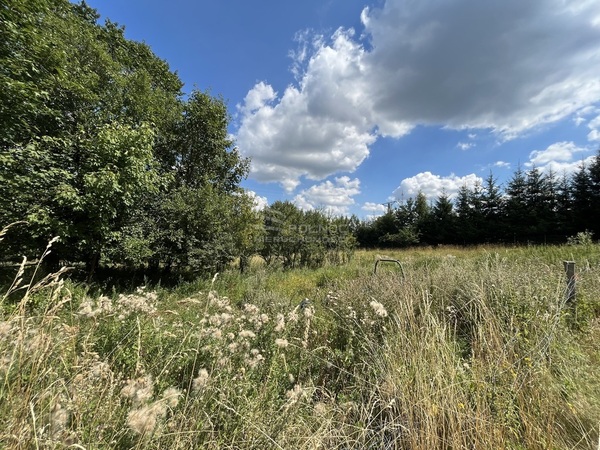 Działka 6700 m2 w STARA KAMIENICA