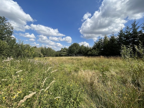 Działka 6700 m2 w STARA KAMIENICA