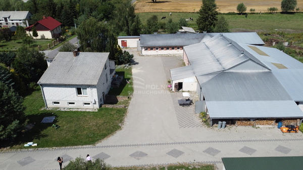 Działka 283100 m2 w SIEDLISZCZE