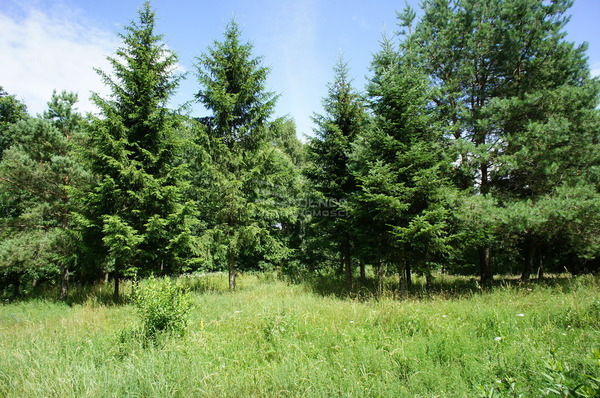 Działka 2096 m2 w RAJGRÓD