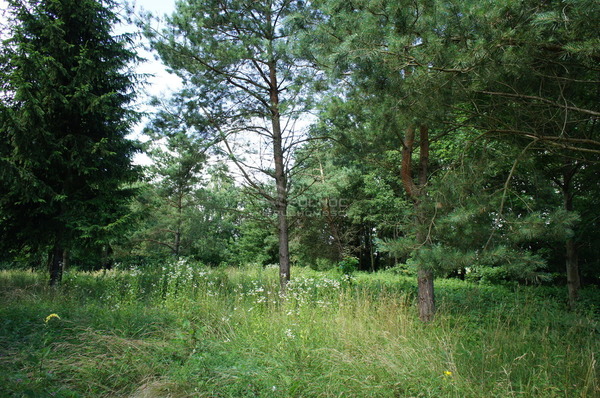 Działka 2096 m2 w RAJGRÓD