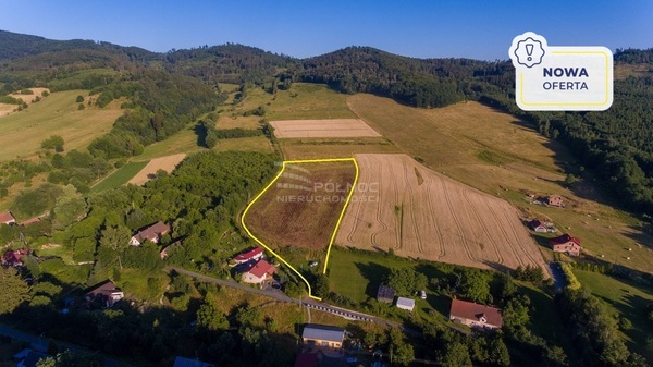 Działka 12600 m2 w KŁODZKO