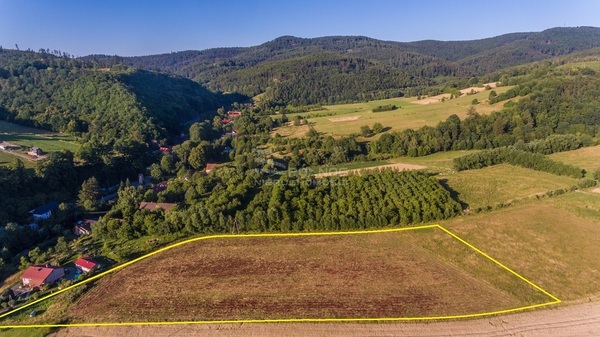 Działka 12600 m2 w KŁODZKO