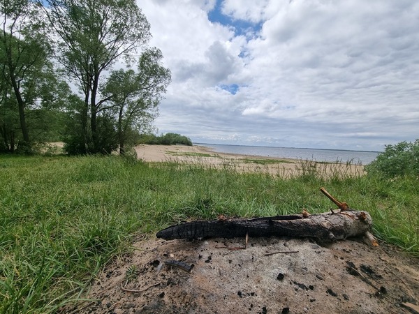 Działka 999 m2 w PĘCZNIEW