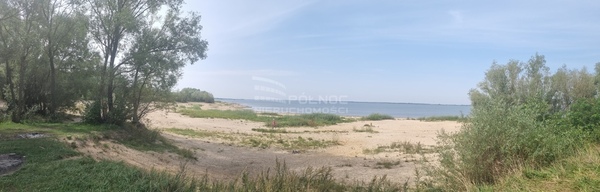 Działka 999 m2 w PĘCZNIEW