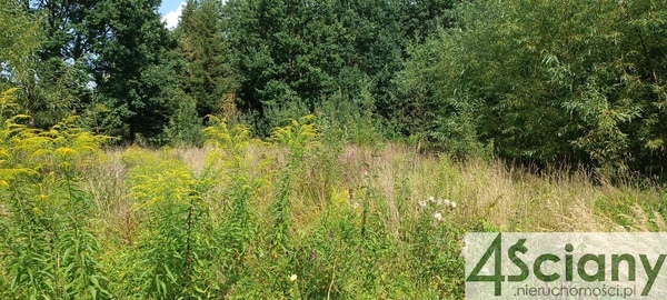 Działka 2881 m2 w BRWINÓW