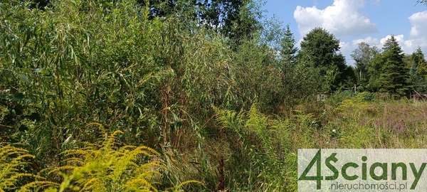 Działka 2881 m2 w BRWINÓW