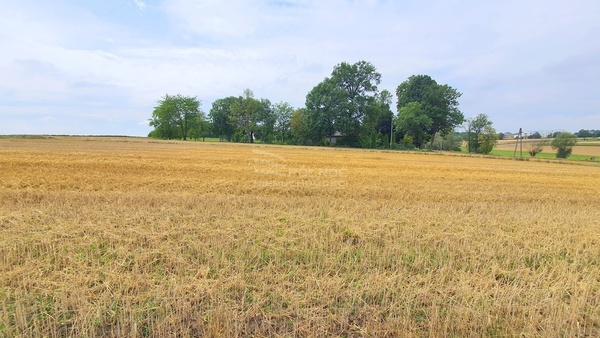 Działka 3033 m2 w PAŁECZNICA