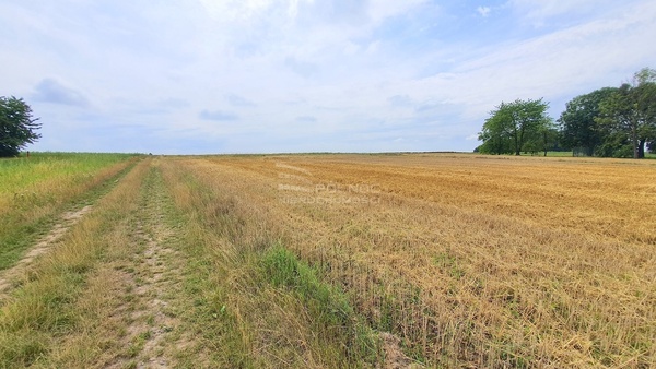 Działka 3033 m2 w PAŁECZNICA