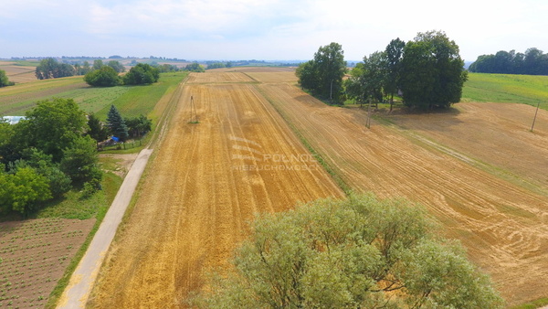 Działka 3033 m2 w PAŁECZNICA