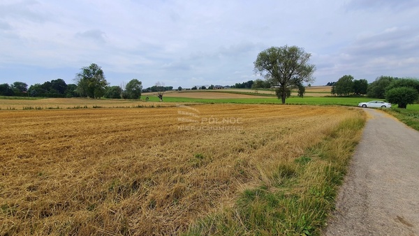 Działka 4539 m2 w PAŁECZNICA