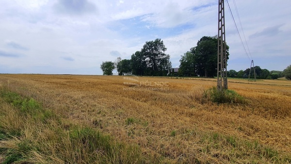 Działka 4539 m2 w PAŁECZNICA