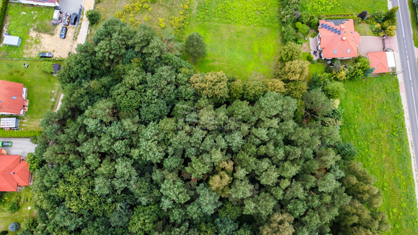 Działka 1542 m2 w TRZEBINIA