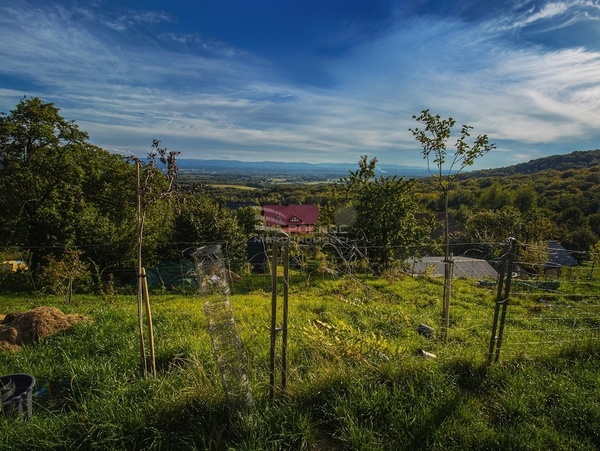 Działka 8800 m2 w ALWERNIA