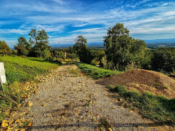 Działka 8800 m2 w ALWERNIA