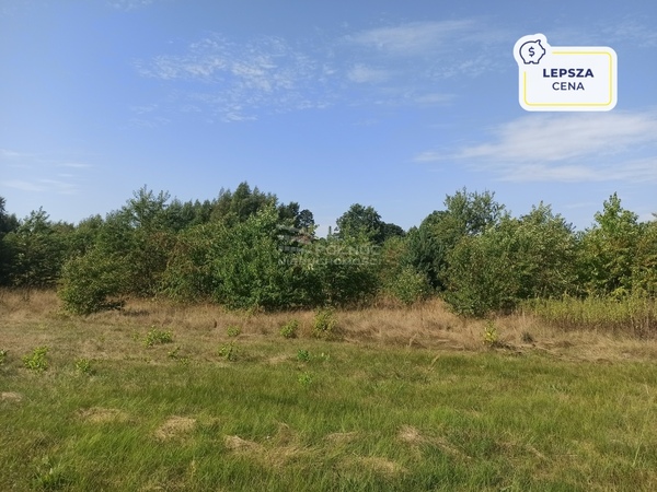 Działka 1000 m2 w JADÓW