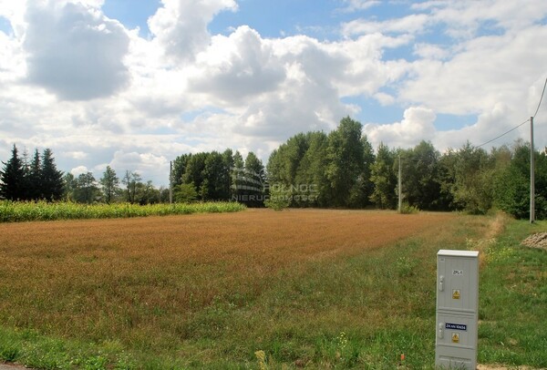 Działka 2425 m2 w SOLEC-ZDRÓJ