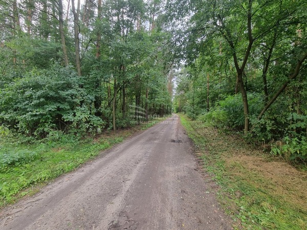 Działka 1124 m2 w DALIKÓW