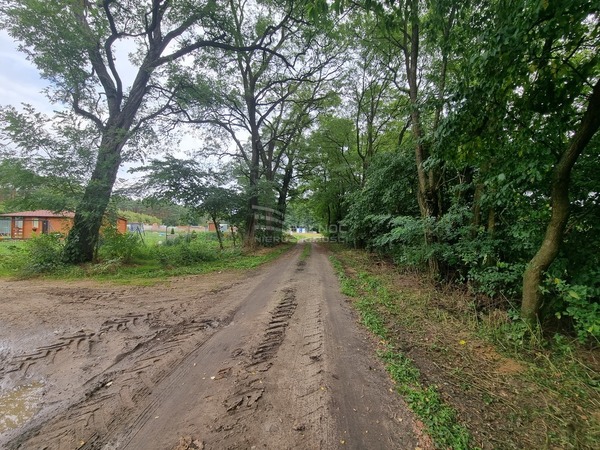 Działka 1124 m2 w DALIKÓW