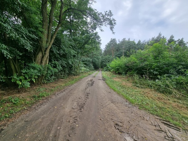 Działka 1124 m2 w DALIKÓW