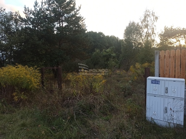 Działka 1008 m2 w TŁUSZCZ