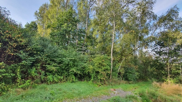 Działka 3500 m2 w WIELICZKA