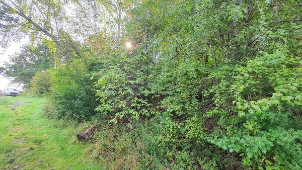 Działka 3500 m2 w WIELICZKA