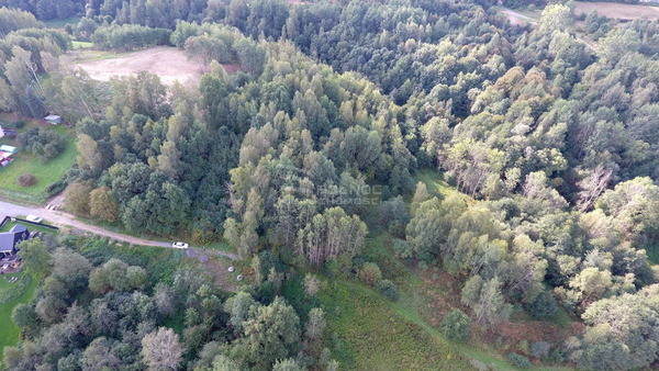 Działka 3500 m2 w WIELICZKA