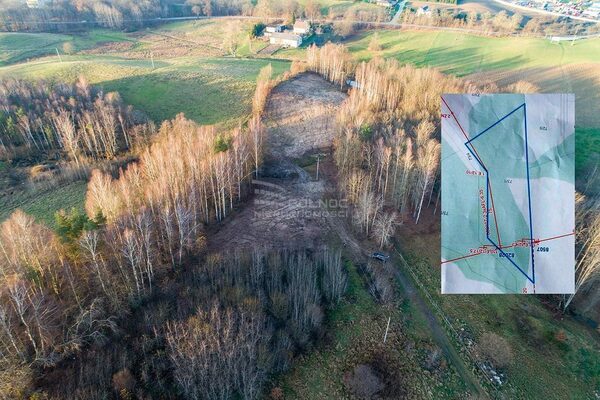 Działka 10159 m2 w PRZODKOWO