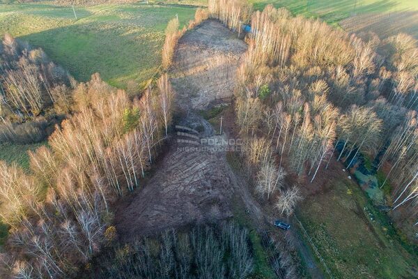 Działka 10159 m2 w PRZODKOWO