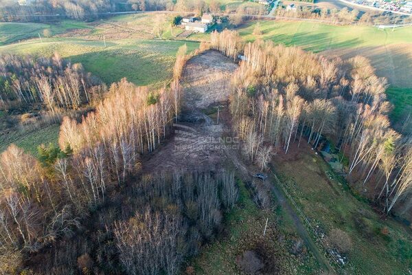 Działka 10159 m2 w PRZODKOWO