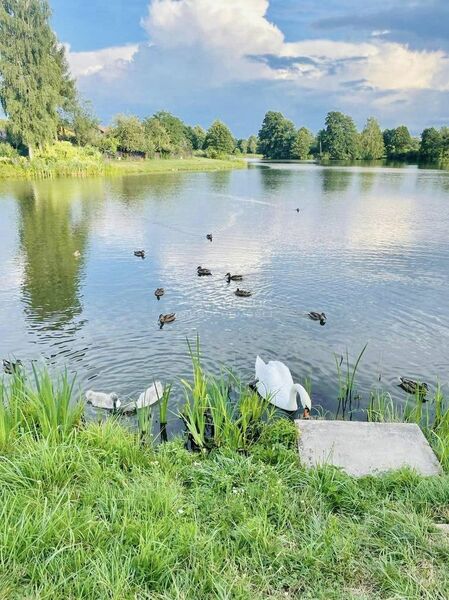 Działka 1800 m2 w KOŃSKIE