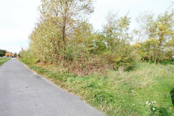 Działka 4100 m2 w GRĘBOCICE