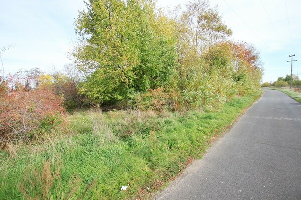 Działka 4100 m2 w GRĘBOCICE