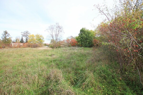 Działka 4100 m2 w GRĘBOCICE