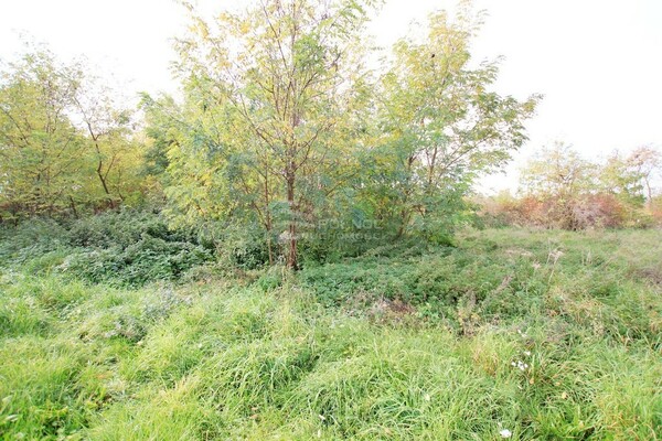 Działka 4100 m2 w GRĘBOCICE