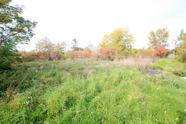 Działka 4100 m2 w GRĘBOCICE