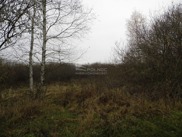 Działka 5100 m2 w ŁAPY