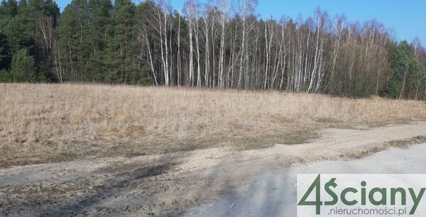 Działka 3100 m2 w PUSZCZA MARIAŃSKA