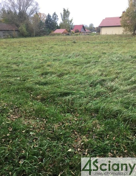 Działka 15400 m2 w ŻABIA WOLA