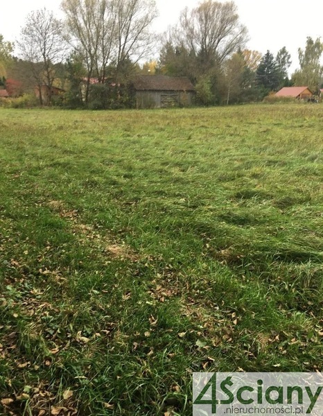 Działka 15400 m2 w ŻABIA WOLA