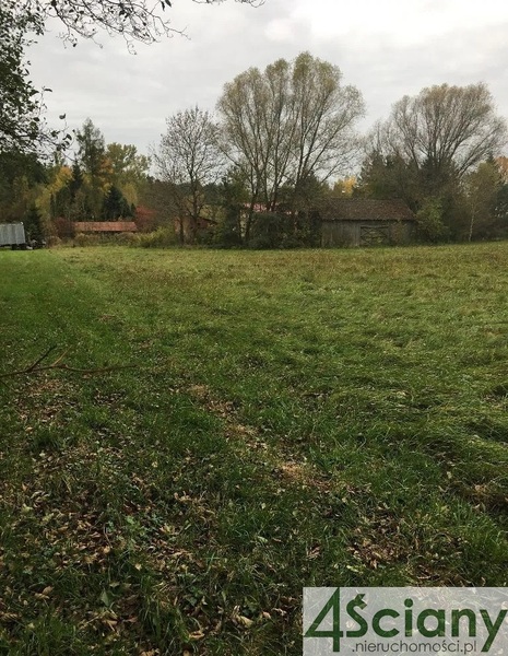 Działka 15400 m2 w ŻABIA WOLA