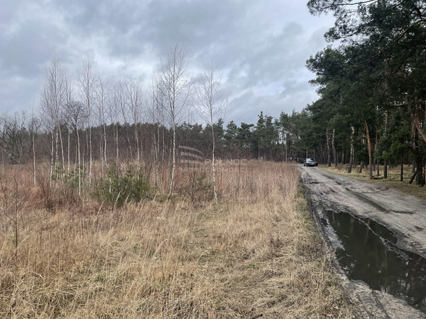 Działka 999 m2 w NIEPORĘT