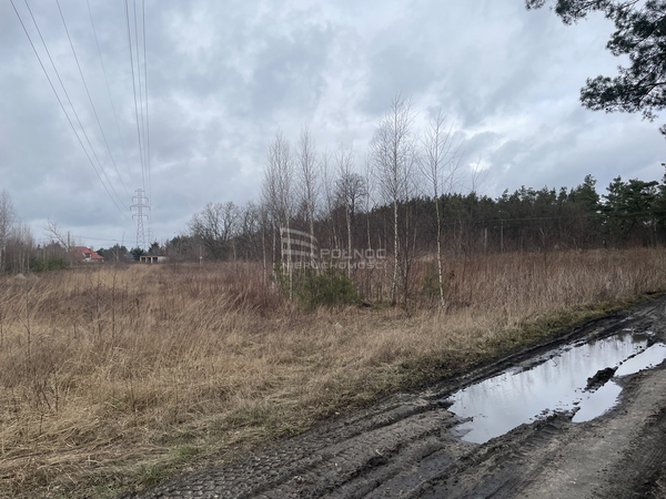 Działka 999 m2 w NIEPORĘT