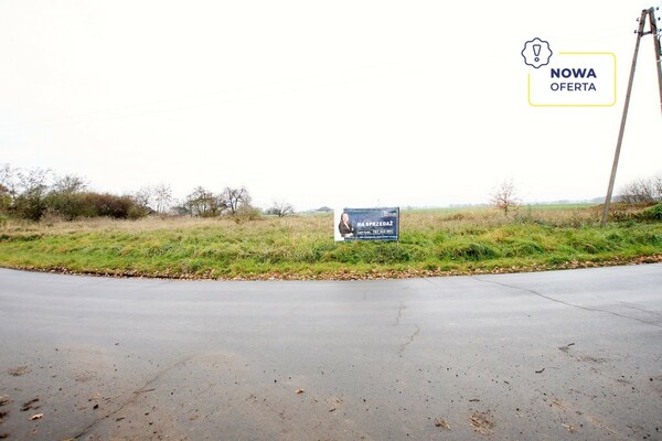 Działka 9200 m2 w PĘCŁAW